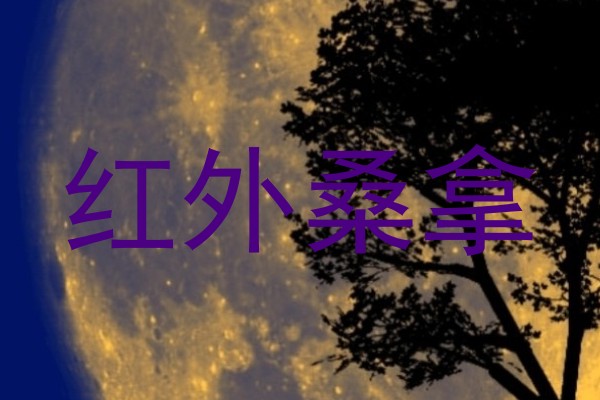 红外桑拿