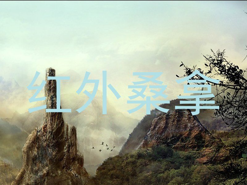 红外桑拿