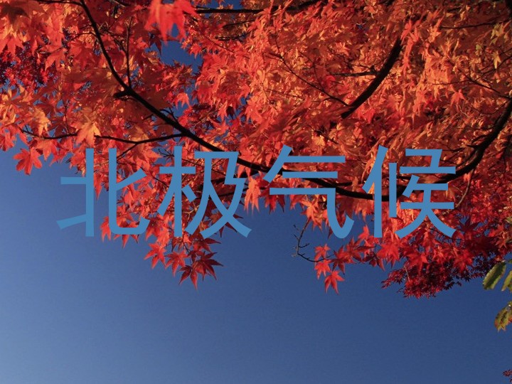 北极气候
