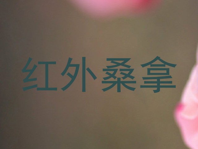 红外桑拿
