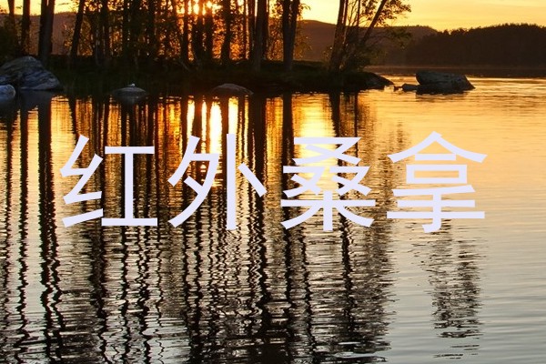 红外桑拿