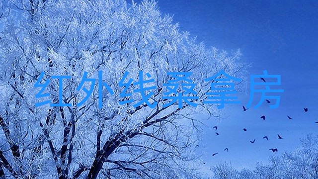 红外线桑拿房