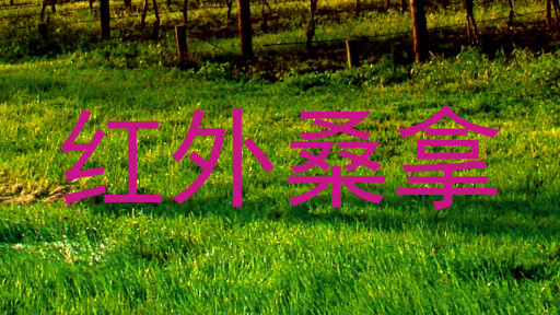红外桑拿