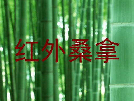 红外桑拿