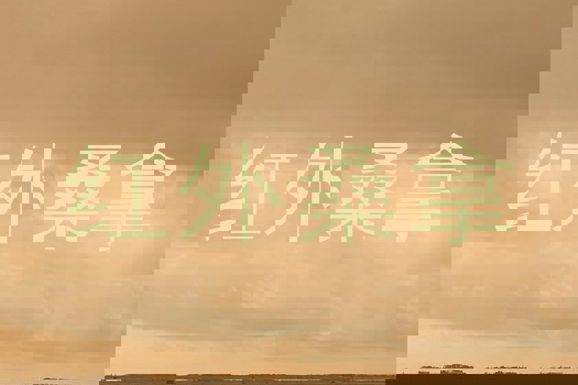 红外桑拿