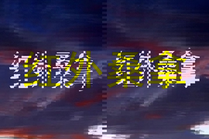 红外桑拿
