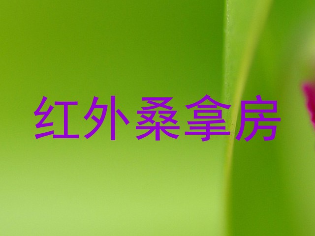 红外桑拿房