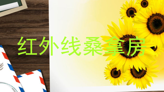 红外线桑拿房