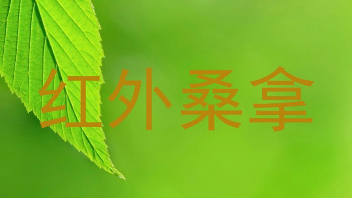 红外桑拿