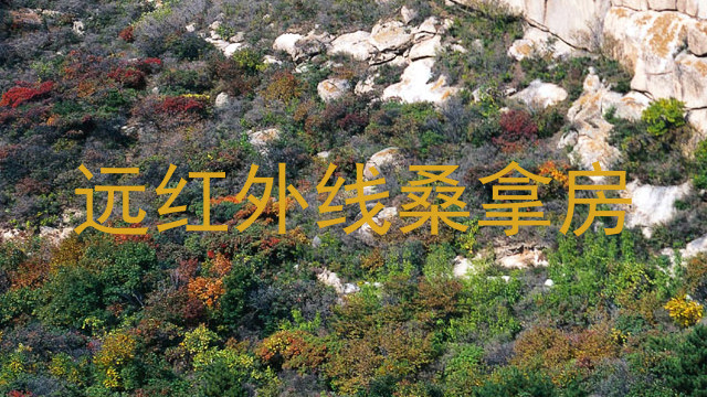 远红外线桑拿房