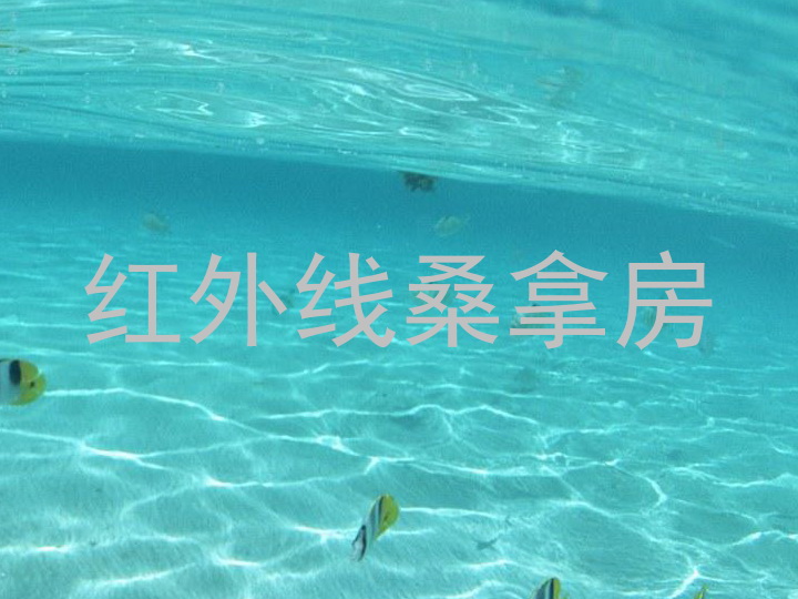 红外线桑拿房