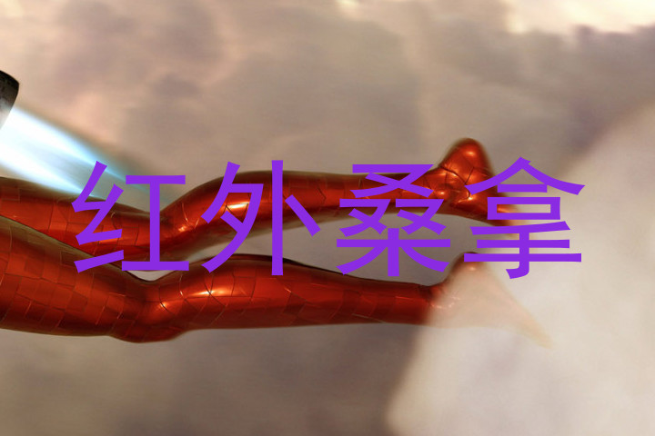 红外桑拿