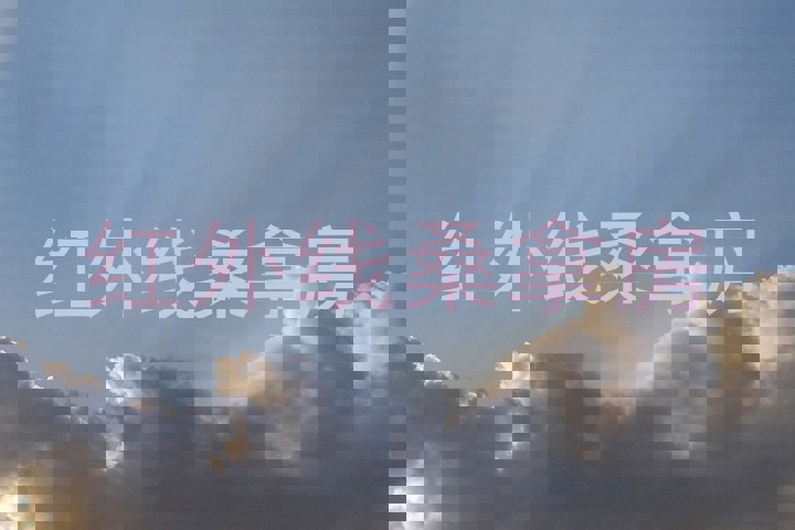 红外线桑拿房