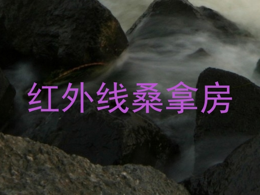红外线桑拿房