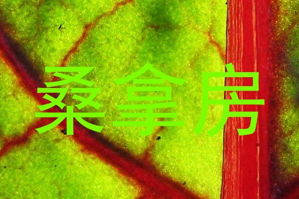 桑拿房