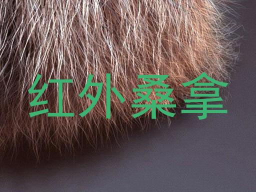 红外桑拿