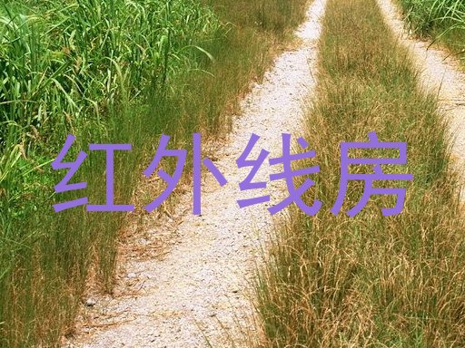 红外线房