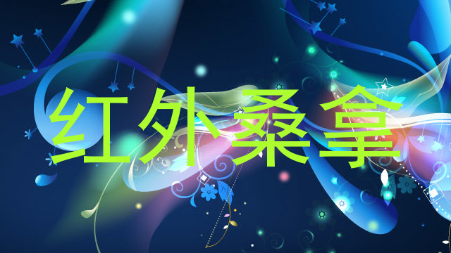 红外桑拿
