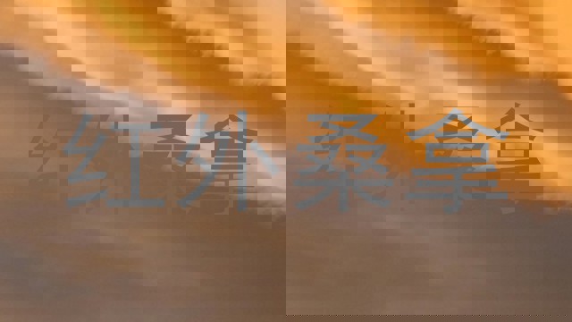 红外桑拿