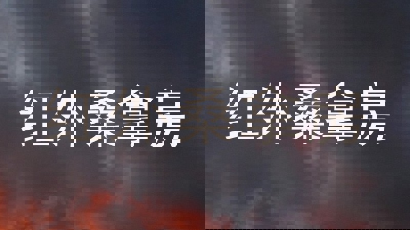 红外桑拿房