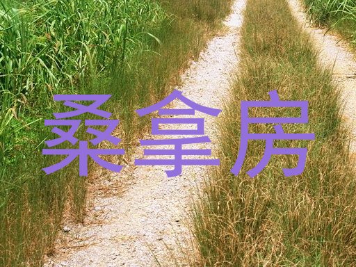 桑拿房