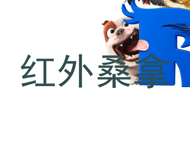 红外桑拿