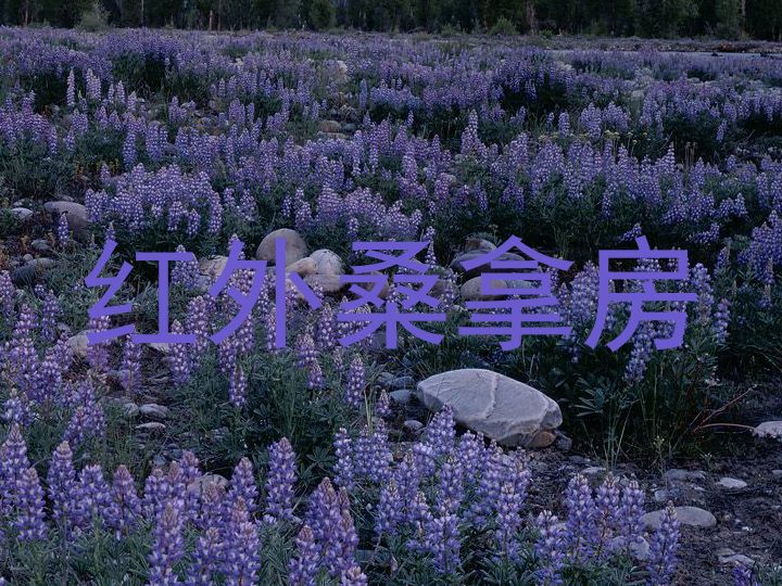 红外桑拿房