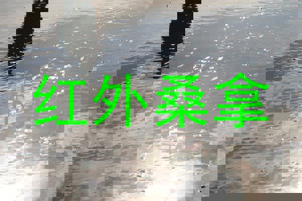 红外桑拿