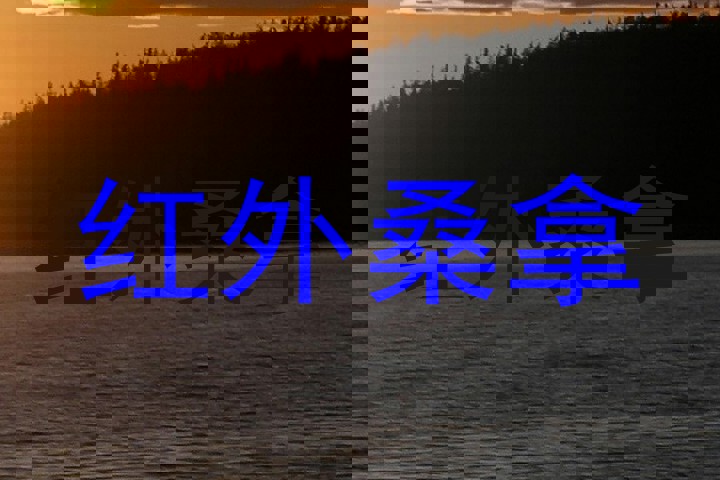 红外桑拿