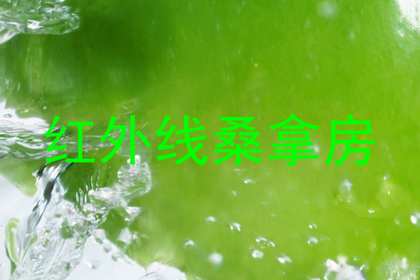 红外线桑拿房