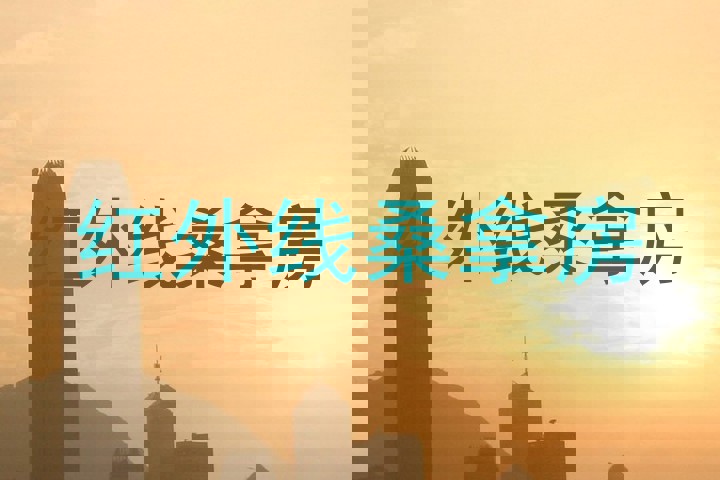 红外线桑拿房
