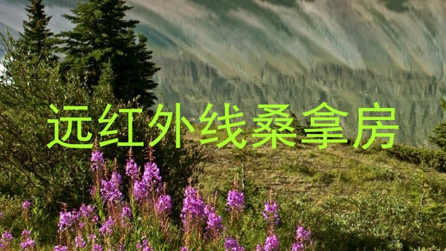 远红外线桑拿房