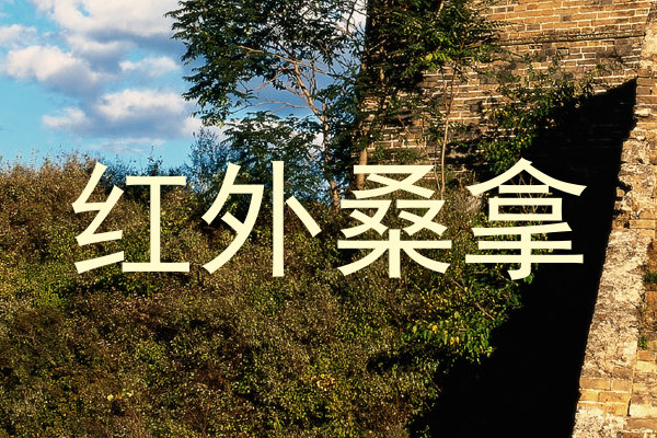 红外桑拿