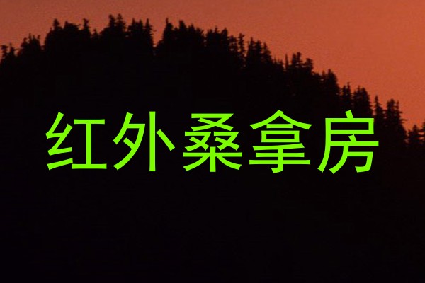 红外桑拿房