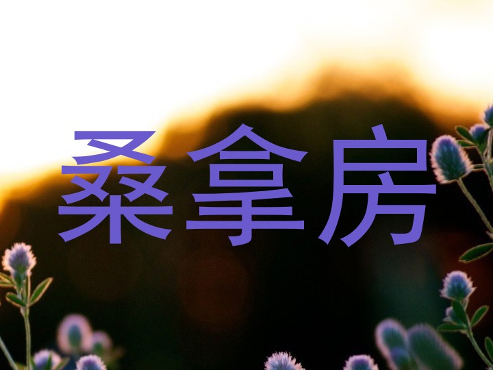 桑拿房