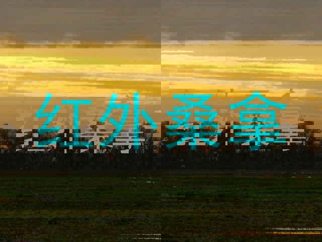 红外桑拿