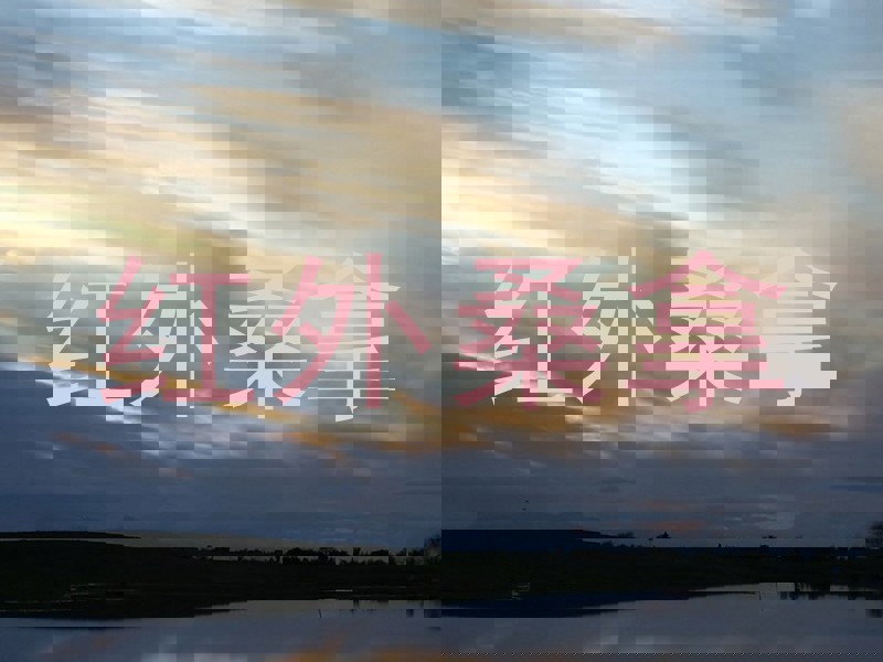 红外桑拿