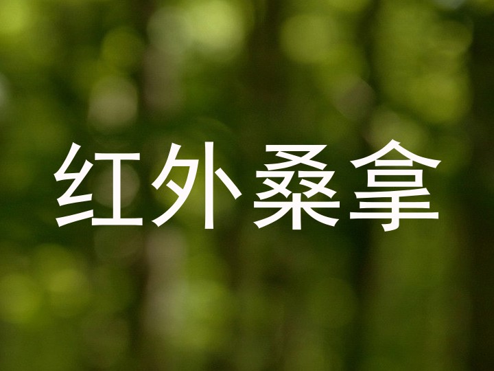 红外桑拿