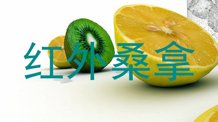 红外桑拿