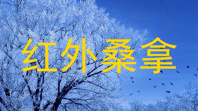 红外桑拿