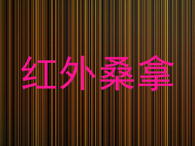 红外桑拿