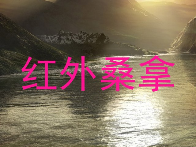 红外桑拿