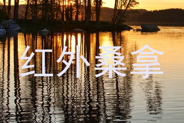 红外桑拿
