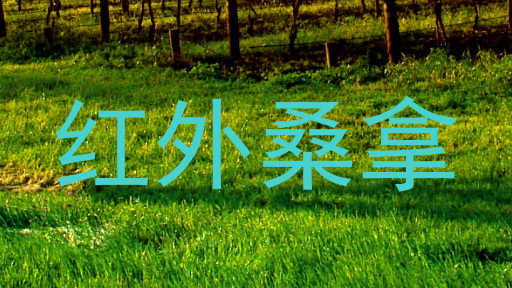 红外桑拿