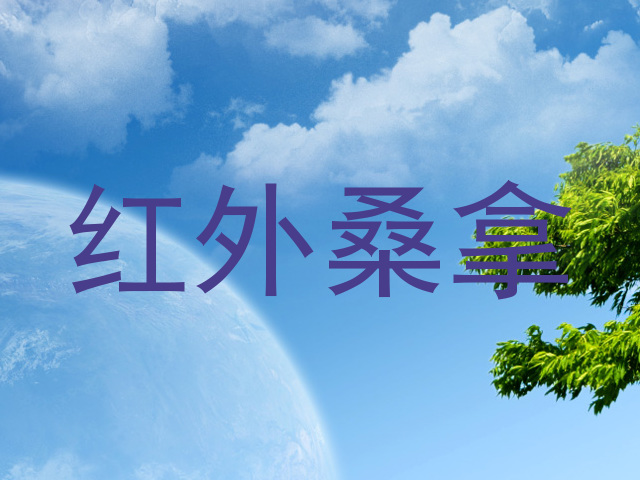 红外桑拿