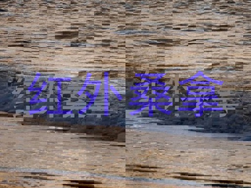 红外桑拿