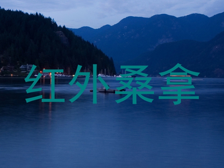 红外桑拿
