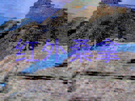 红外桑拿