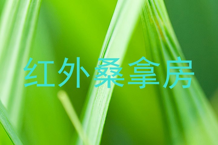 红外桑拿房