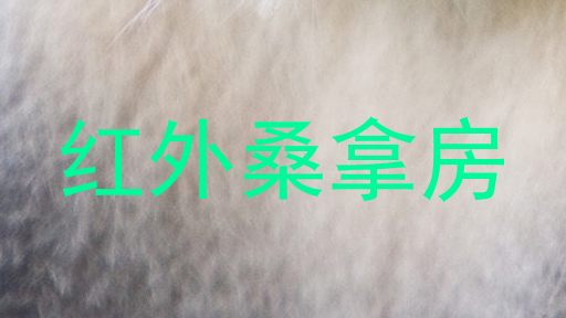 红外桑拿房